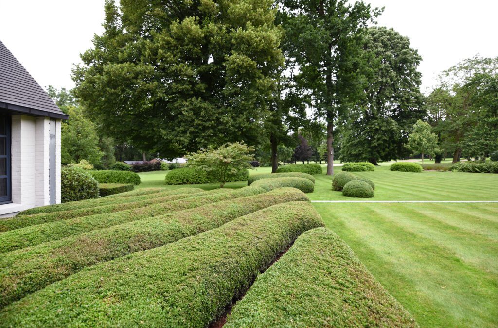 Klassieke tuin met planten door contour
