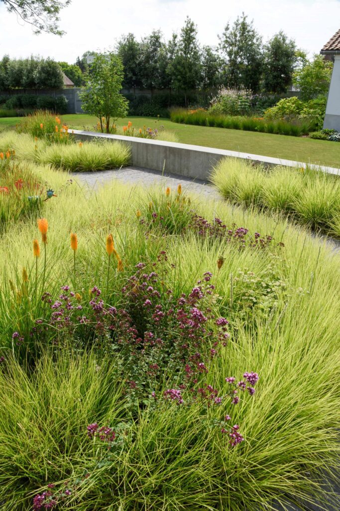 een organische tuin met poolhouse ontworpen door contour